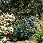 Bed & Breakfast Les Mandalas Chambres D'hotes 3*