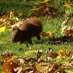 Bed & Breakfast Les Mandalas Chambres D'hotes Pornic