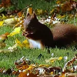 Les Mandalas Chambres D'hotes 3* Pornic