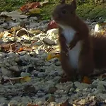 Bed & Breakfast Les Mandalas Chambres D'hotes 3*