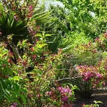 Les Mandalas Chambres D'hotes 3*