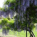 Les Mandalas Chambres D'hotes Pornic