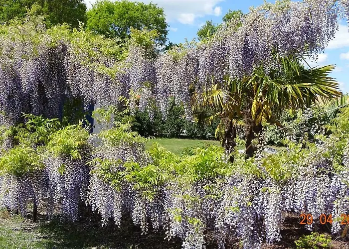Les Mandalas Chambres D'hotes Pornic