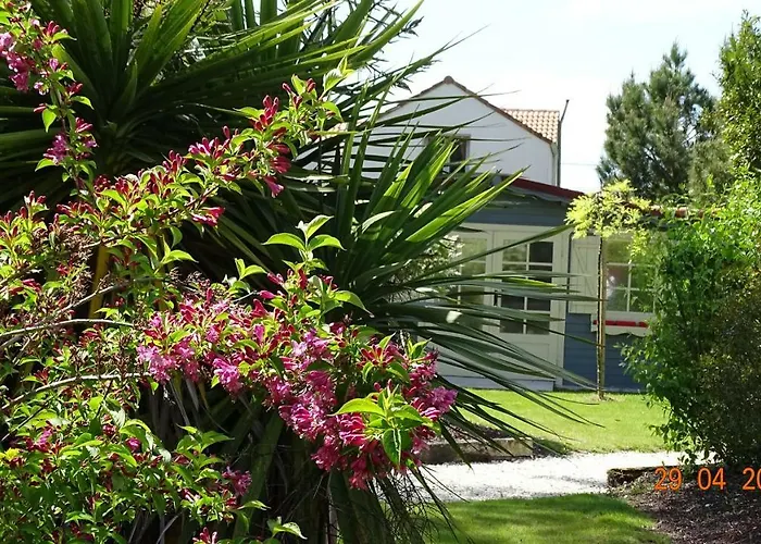 Les Mandalas Chambres D'hotes