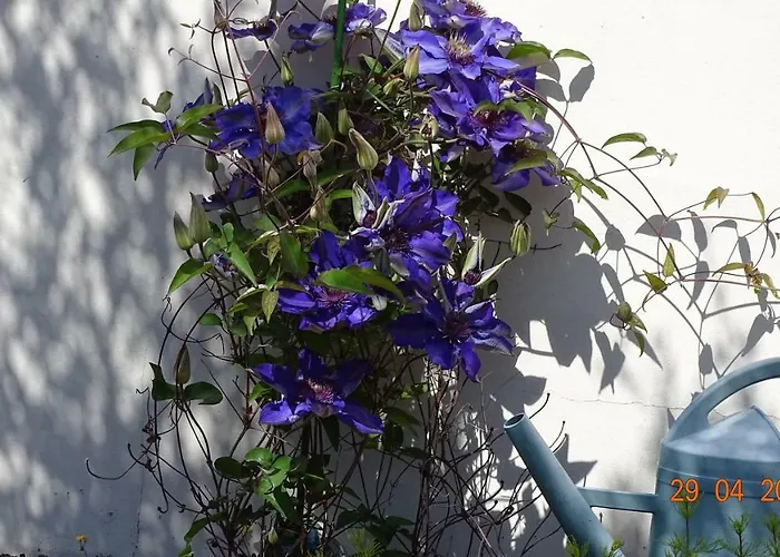 Les Mandalas Chambres D'hotes Bed & Breakfast Pornic