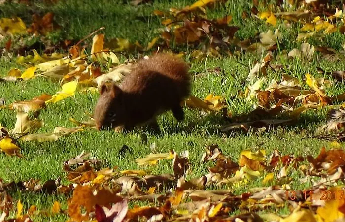 Bed & Breakfast Les Mandalas Chambres D'hotes Pornic