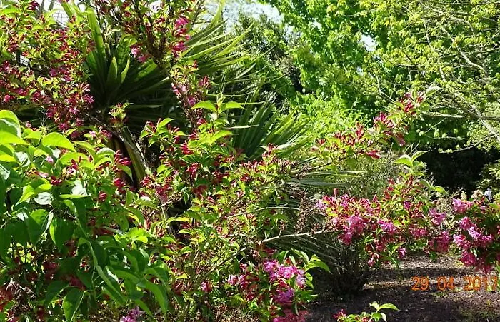 Les Mandalas Chambres D'hotes 3*