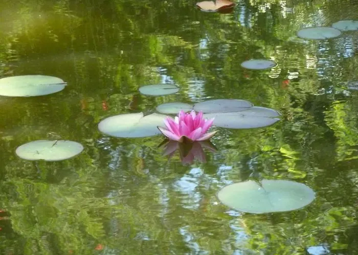 Les Mandalas Chambres D'hotes Bed & Breakfast