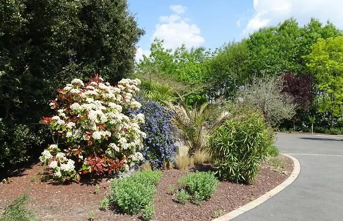 Les Mandalas Chambres D'hotes Oda ve Kahvaltı Pornic
