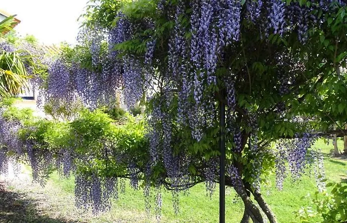 Les Mandalas Chambres D'hotes Pornic