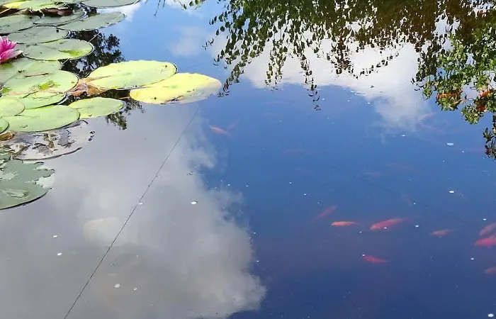 Les Mandalas Chambres D'hotes Pornic