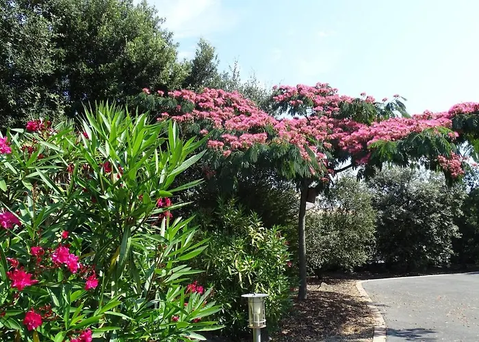 Les Mandalas Chambres D'hotes Pornic