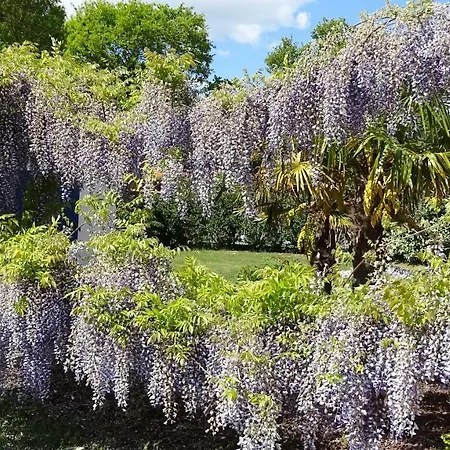 Les Mandalas Chambres D'hotes Pornic