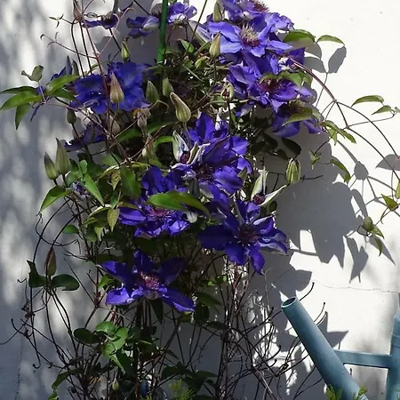 Les Mandalas Chambres D'hotes Frühstückspension Pornic