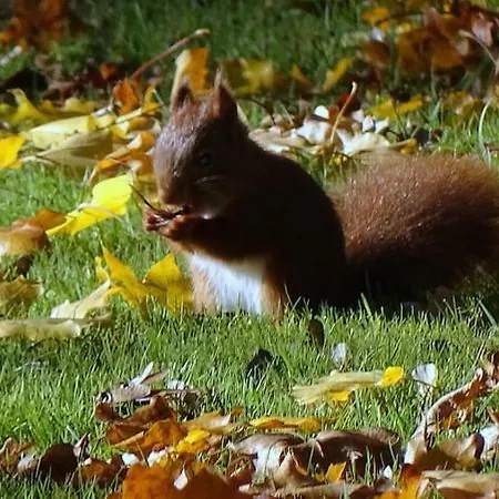 Les Mandalas Chambres D'hotes 3* Pornic