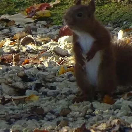 Frühstückspension Les Mandalas Chambres D'hotes 3*