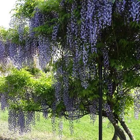Les Mandalas Chambres D'hotes Pornic