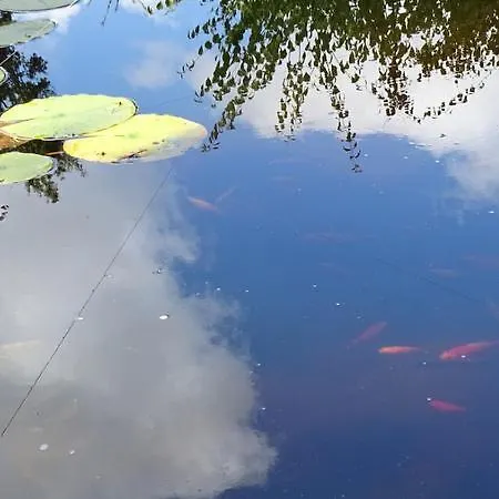Les Mandalas Chambres D'hotes Pornic