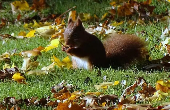 Les Mandalas Chambres D'hotes 3* Порник